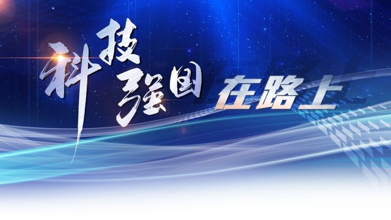 机器学习平台应用标准规范：构建高效AI解决方案的关键